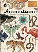 Animalium ... - Jenny Broom - buch auf polnisch 