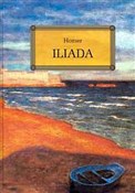 Polnische buch : Iliada - Homer