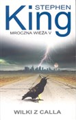Mroczna wi... - Stephen King -  polnische Bücher