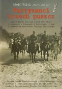 Polnische buch : Partyzanci... - Adolf Pilch