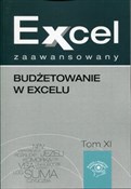 Polnische buch : Excel zaaw... - Malina Cierzniewska-Skweres, Jakub Kudliński