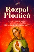 Polnische buch : Rozpal Pło... - Dariusz Dąbrowski