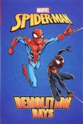 Polnische buch : Spider-Man... - Brian Smith, Ivan Cohen
