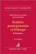 Polnische buch : Kodeks pos... - Kinga Flaga-Gieruszyńska, Andrzej Zieliński
