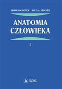 Zobacz : Anatomia c... - Adam Bochenek, Michał Reicher