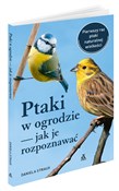 Polnische buch : Ptaki w og... - Daniela Strauß