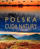 Polska książka : Polska Cud... - Anna Willman