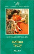Polska książka : Dolina tęc... - Lucy Maud Montgomery