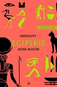 Hieroglify... - Andrzej Ćwiek - Ksiegarnia w niemczech