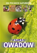 Polska książka : Atlas owad... - Kamila Twardowska, Jacek Twardowski