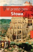 Polska książka : W przestrz... - ks. Mariusz Rosik
