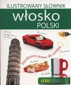 Ilustrowan... - Tadeusz Woźniak - buch auf polnisch 