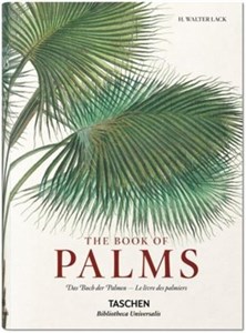 Bild von Book of Palms