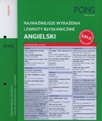 Błyskawicz... - buch auf polnisch 