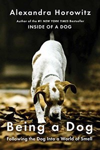 Bild von Being a Dog (Horowitz Alexandra)(Paperback), Simon & Schuster Export Ed 2016