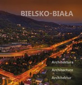 Bielsko-Bi... - Wijciech Kryński, Monika Małkowska -  polnische Bücher