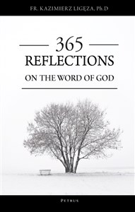 Bild von 365 reflections on the word of God