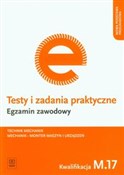 Testy i za... - Marek Łuszczak -  polnische Bücher