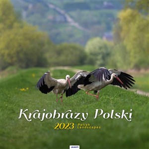 Bild von Kalendarz 2023 spirala Krajobrazy Polski KD35