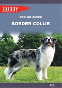Polska książka : Border Col... - Ewelina Budek