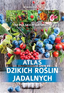 Obrazek Atlas dzikich roślin jadalnych 150 polskich gatunków