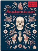 Anatomicum... - Jennifer Paxton -  polnische Bücher