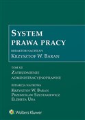 System Pra... - Krzysztof Baran, Przemysław Szustakiewicz, Elżbieta Ura, Krzysztof W. Baran - buch auf polnisch 