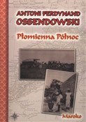 Płomienna ... - Antoni Ferdynand Ossendowski -  Książka z wysyłką do Niemiec 
