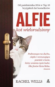 Obrazek Alfie kot wielorodzinny / Rodzina kota Alfiego