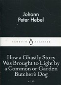 Zobacz : How a Ghas... - Johann Peter Hebel