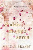 Polska książka : Złodziej m... - Meagan Brandy