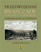 Przedwojen... - Andrzej Wielocha -  polnische Bücher