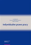 Polska książka : Indywidual... - Jan Piątkowski, Marzena Szabłowska-Juckiewicz, Jagoda Jaskulska