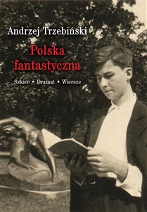 Obrazek Polska fantastyczna Szkice Dramat Wiersze