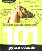 101 pytań ... - Dorota Kozińska - buch auf polnisch 