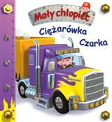 Ciężarówka... - Emilie Beaumont, Nathalie Belineau, Alexis Nesme (ilustr.) -  Polnische Buchandlung 