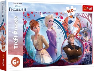 Bild von Puzzle 160 Frozen 2 Siostrzana przygoda