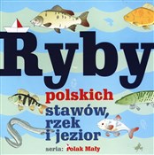 Polnische buch : Ryby polsk... - Władysław Fisher