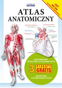 Bild von Atlas anatomiczny Kolorowe rysunki anatomiczne. 3 plakaty gratis. Słownik czterojęzyczny