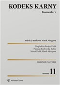 Książka : Kodeks kar... - Magdalena Budyn-Kulik, Patrycja Kozłowska-Kalisz, Marek Kulik, Marek Mozgawa