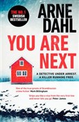 You Are Ne... - Arne Dahl - buch auf polnisch 