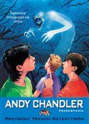 Tajemnica ... - Andy Chandler -  Książka z wysyłką do Niemiec 