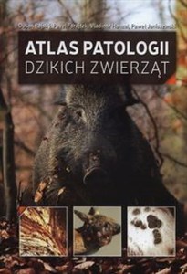 Obrazek Atlas patologii dzikich zwierząt