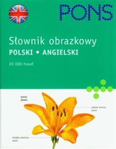 Bild von PONS Słownik obrazkowy polski angielski