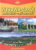 Polska książka : Wysowa Zdr... - Michał Paszkowski