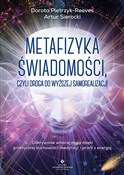 Polnische buch : Metafizyka... - Dorota Pietrzyk-Reeves, Artur Sierocki