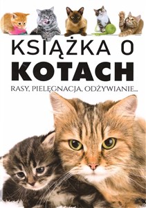 Obrazek Książka o kotach Rasy, Pielęgnacja, Odżywianie