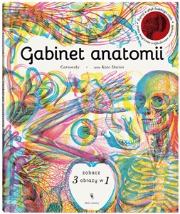 Bild von Gabinet anatomii