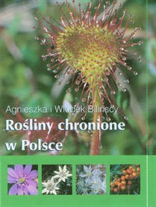 Bild von Rośliny chronione w Polsce