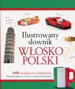 Ilustrowan... - Tadeusz Woźniak -  fremdsprachige bücher polnisch 